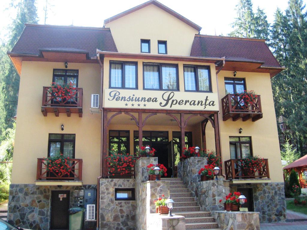 Отель Pensiunea Speranta Совата Экстерьер фото